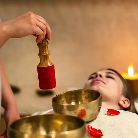 Delle Rose A Luxury Boutique 4* 切尔沃港